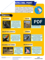 Infografía DE FAUNA