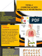 Tema 1 Comunicación Humana y No Humana