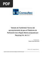 Entregable Estudio Factibilidadaprovechamiento Del Gas REV. 0