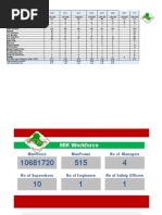 QHSE Dashboard Template