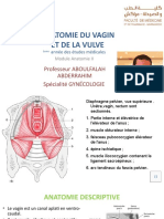 Anatomie Vagin Et Vulve Sono PR Aboulfalah