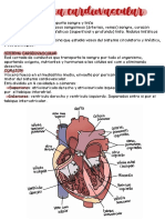 Sistema Circulatorio (Cardivascular y Linfático)