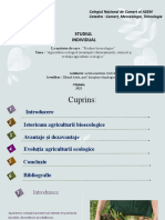 Studiul Individual : Colegiul Național de Comerț Al ASEM Catedra: Comerț, Merceologie, Tehnologie