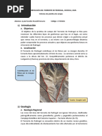 Geomorfología Del Torrente de Pedregal