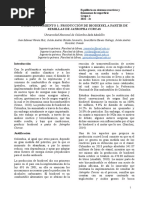 Dimensionamiento Producción de Biodiesel A Partir de Semillas de Jatropha Curcas