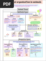 Structural Organisation in Animals Mind Map