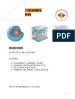 Citoplasma, Citoesqueleto y Tráfico Vesicular