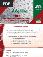 14 B Algebra Divisibilidad Cocientes Notables Factorización M.C.D y M.C.M