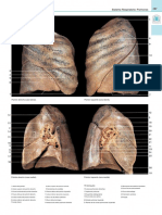 Anatomy. A Photographic Atlas-5-2