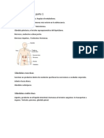 Sistema Endocrino Parte 1