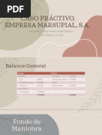 Caso Práctico. Empresa MARSUPIAL