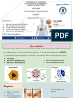 Grupo 1 - Microbiología (Hepatitis A, B, C) - 1