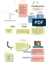 Lipidos (1) (Reparado)