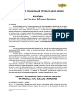 Estatutos Da Comunidade Católica Novo Ardor Versão Final Final Final