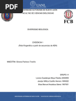 PDF Documento