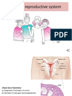 Female Reproductive System