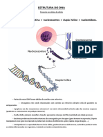 DNA Estrutura e Sintese