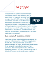 La Grippe: Définition