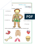 Sistema Óseo 20-04-22