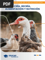 Cría, Recría, Alimentación y Nutrición Terminado