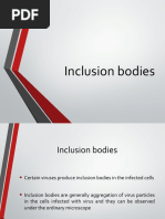 Inclusion Bodies