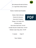 Práctica de Laboratorio (Disección de Testículo)