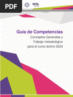 Guia de Competencias Orientaciones Generales v2 14.02