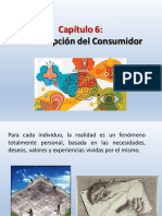 Capítulo 6 - Percepción Del Consumidor