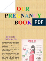 Our Pregnancy Book