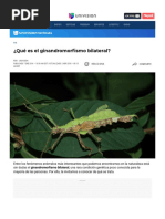 ¿Qué Es El Ginandromorfismo Bilateral? - Explora - Univision