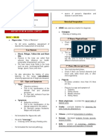 PMLS Transes W1