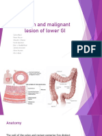 Benign and Malignant Lesion of Lower GI