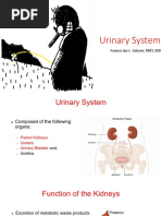 Histology of The Urinary System