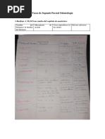 Tarea de Segundo Parcial Odontología