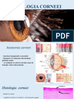 Patologia Corneei 2020