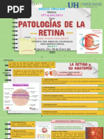 Patologias de La Retina