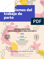 Mecanismo Del Trabajo de Parto - Obstetricia Eq 1 Sub 2 - Compressed - 220216 - 131737