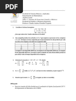 TALLER1 - Sistemas de Ecuaciones Lineales y Matrices