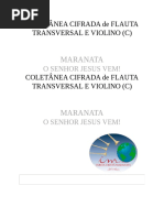 Flauta e Violino Icm 2019