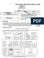 PDF Documento