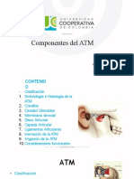 Componentes Del ATM