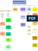 Trastornos Del Neurodesarrollo