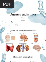 Organos Endocrinos