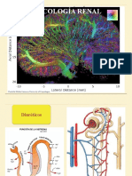 Farmacología Renal