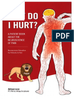 Why Do I Hurt - A Patient Book About The Neuroscience of Pain - Louw'13