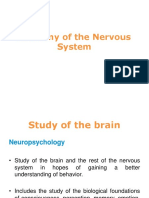 Ch3 Anatomy of The NS