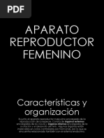 Aparato Reproductor Femenino