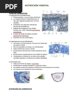 Nutrición Vegetal 1 Bachillerato