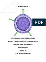 Adenovirus