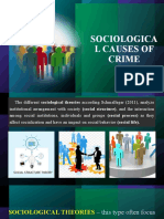 Sociological Causes of Crime